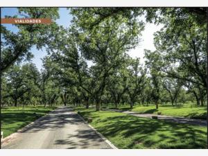 Terreno en venta en Valle de Parras, Parras — foto 3 de 9