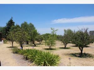 Terreno en venta en El Carmen, El Marqués — foto 3 de 14