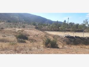 Terreno en venta en San Antonio de las Minas, Ensenada — foto 2 de 10
