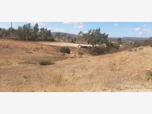 Terreno en venta en San Antonio de las Minas, Ensenada — foto 3 de 10