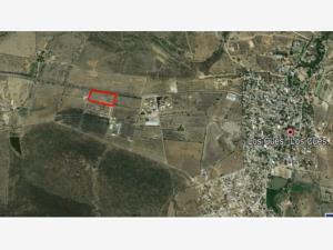Terreno en venta en Los Cues, Huimilpan, Querétaro Terreno en venta en Los Cues, Huimilpan, Querétaro