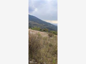 Terreno en venta en Chitejé de la Cruz, Amealco de Bonfil — foto 3 de 28