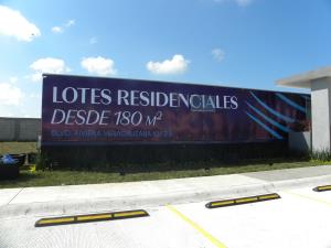 Terreno en venta en Las Lomas Residencial, Alvarado — foto 2 de 5