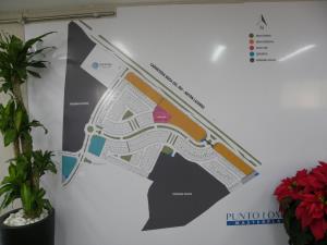 Terreno en venta en Las Lomas Residencial, Alvarado — foto 3 de 5