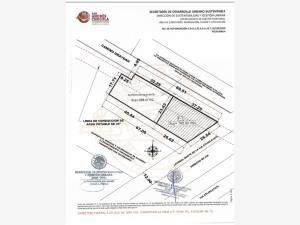 Terreno en venta en San Bernardino Tlaxcalancingo, San Andrés Cholula — foto 3 de 4