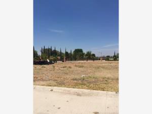 Terreno en venta en Residencial Los Cántaros, Apaseo El Grande — foto 3 de 6