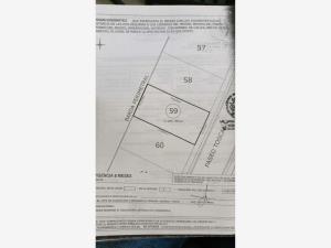 Terreno en venta en Lomas de Angelópolis, San Andrés Cholula — foto 3 de 3