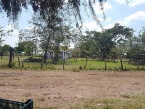 Finca-Rancho en venta en Fernando López Arias, Cosamaloapan de Carpio — foto 2 de 7