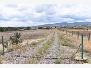 Finca-Rancho en venta en Cebolletas, Coroneo — foto 2 de 19