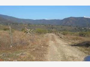 Terreno en venta en San Vicente Ferrer, El Marqués, Querétaro Terreno en venta en San Vicente Ferrer, El Marqués, Querétaro