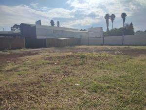 Terreno en renta en San Miguel, San Andrés Cholula, Puebla Terreno en renta en San Miguel, San Andrés Cholula, Puebla