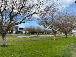 Terreno en venta en Las Trojes, Torreón — foto 3 de 14