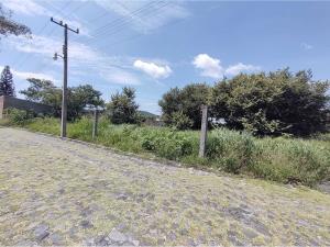Terreno en venta en El Venadito, Ayala — foto 3 de 5
