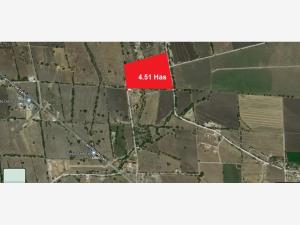 Terreno en venta en Pie de Gallo, Querétaro — foto 3 de 28