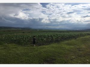 Terreno en venta en Amealco de Bonfil Centro, Amealco de Bonfil, Querétaro