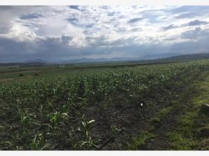 Terreno en venta en Amealco de Bonfil Centro, Amealco de Bonfil — foto 3 de 17