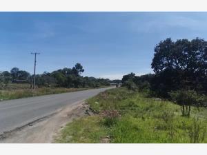 Terreno en venta en Amealco de Bonfil Centro, Amealco de Bonfil — foto 2 de 14