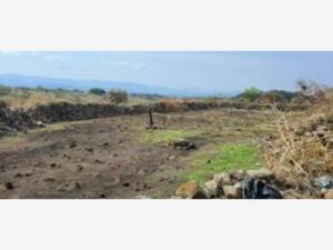 Terreno en venta en Santa Maria Ahuacatitlan, Cuernavaca — foto 3 de 12