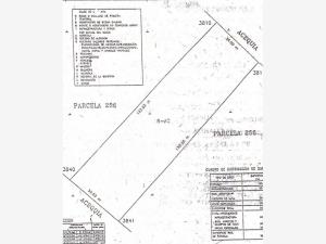 Terreno en venta en La Concha, Torreón — foto 2 de 7
