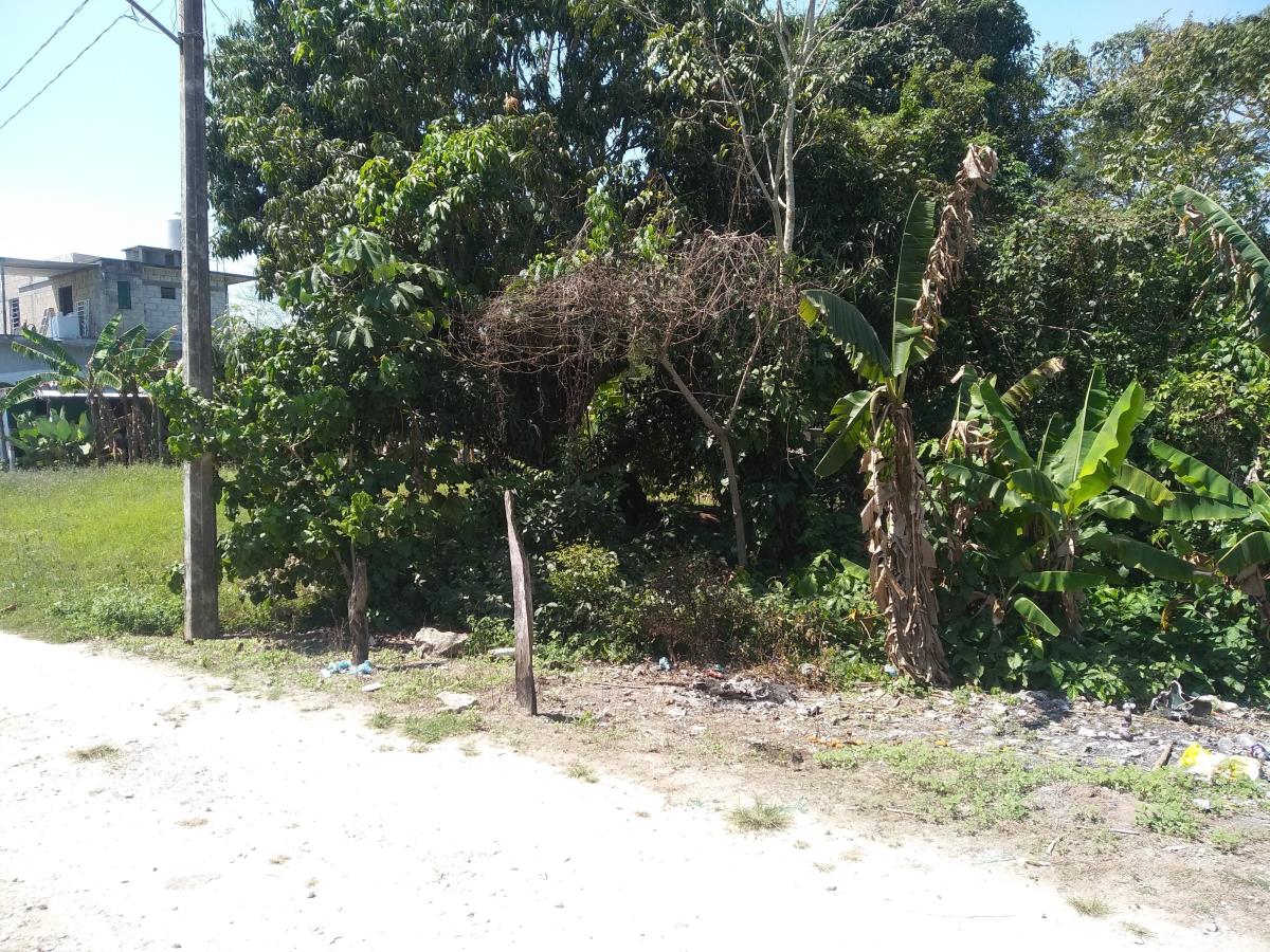 Terreno en Venta en Coronel Traconis (Guerrero 3ra. Sección), Centro, Tabasco Terreno en Venta en Coronel Traconis (Guerrero 3ra. Sección), Centro, Tabasco