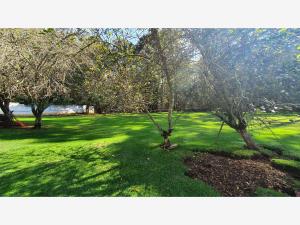 Finca-Rancho en venta en San José Ocotillos, Huasca de Ocampo — foto 3 de 18