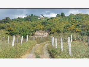 Finca-Rancho en venta en El Naranjal, Villa de Álvarez — foto 2 de 15