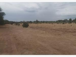 Terreno en venta en Las Cruces (Las Crucecitas), Colón — foto 2 de 4