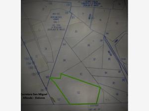 Terreno en venta en Ejido Dolores, Dolores Hidalgo Cuna de la Independencia Nacional — foto 2 de 18