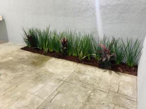 Casa en venta en Villa Rica, Boca del Río — foto 3 de 14