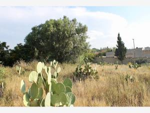 Terreno en venta en Bellavista, Saltillo, Coahuila de Zaragoza