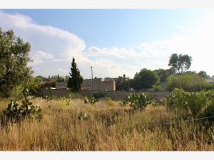 Terreno en venta en Bellavista, Saltillo — foto 3 de 11