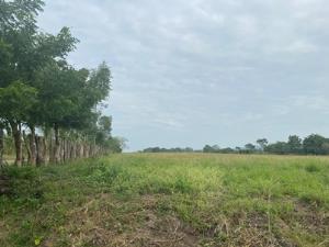 Terreno en venta en Bruno Pagliai, Veracruz — foto 3 de 15