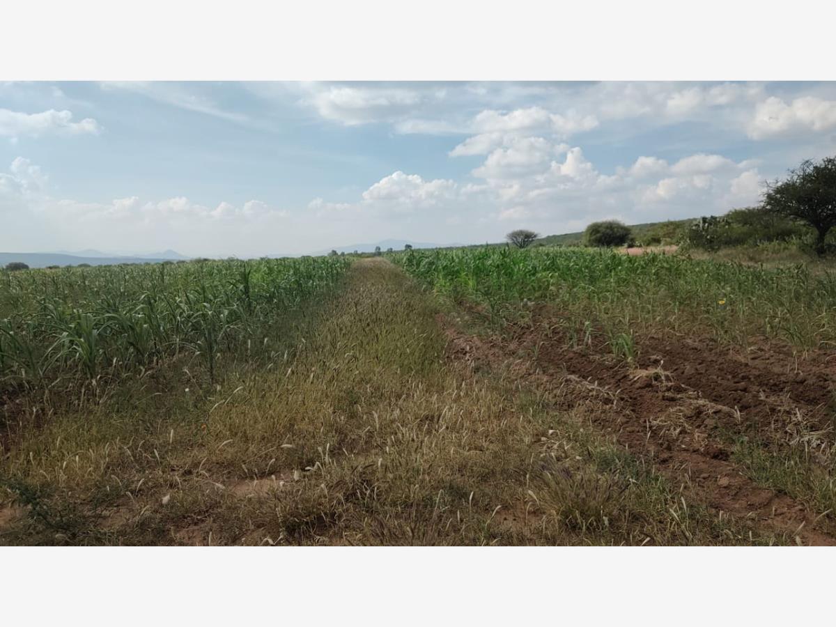 Terreno en venta en San Jose Navajas, El Marqués — foto 1 de 6