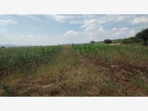 TERRENO EN VENTA EN NAVAJAS EL MARQUES TERRENO EN VENTA EN NAVAJAS EL MARQUES