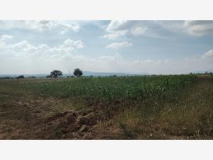 Terreno en venta en San Jose Navajas, El Marqués — foto 2 de 6