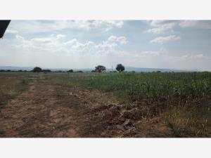 Terreno en venta en San Jose Navajas, El Marqués — foto 3 de 6
