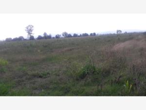 Terreno en venta en Estación el Ahorcado, Pedro Escobedo — foto 3 de 5