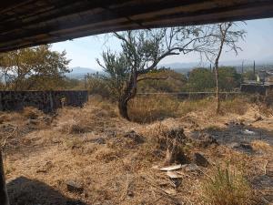 Terreno en venta en Lomas de Trujillo, Emiliano Zapata — foto 2 de 6