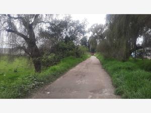 Terreno en venta en San Isidro, Mexicaltzingo — foto 2 de 9
