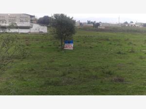 Terreno en venta en San Isidro, Mexicaltzingo — foto 3 de 9
