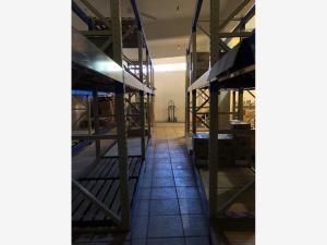 Bodega en renta en Progreso, Acapulco de Juárez — foto 3 de 12