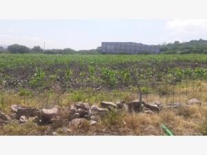 Terreno en venta en Los Angeles, Corregidora — foto 3 de 3