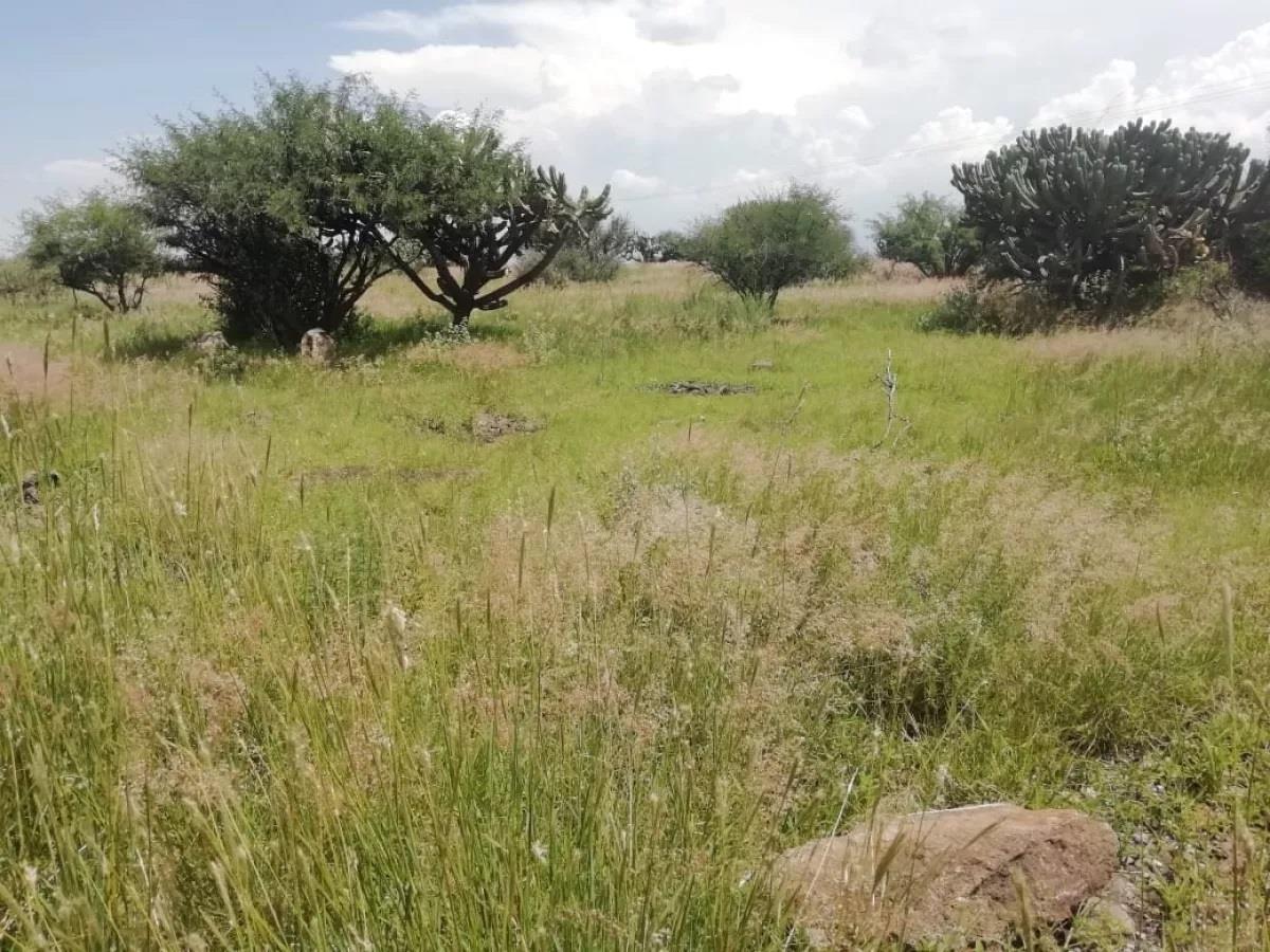 Terreno en venta en La Griega, El Marqués — foto 1 de 5