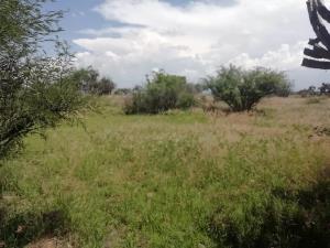 Terreno en venta en La Griega, El Marqués — foto 2 de 5