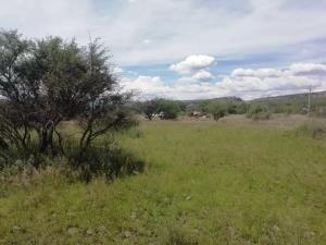 Terreno en venta en La Griega, El Marqués — foto 3 de 5