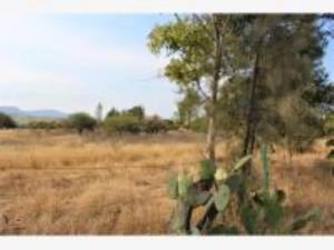 Terreno en venta en Parque Industrial el Marqués, El Marqués — foto 2 de 14