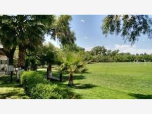 Terreno en venta en Ejido Apaseo el Alto, Apaseo El Alto, Guanajuato Terreno en venta en Ejido Apaseo el Alto, Apaseo El Alto, Guanajuato