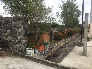 Terreno en venta en Ex Hacienda San Félix, Atlixco — foto 2 de 20