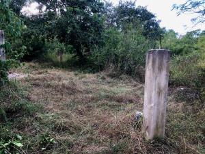 Terreno en venta en Macario Gómez, Tulum — foto 2 de 2
