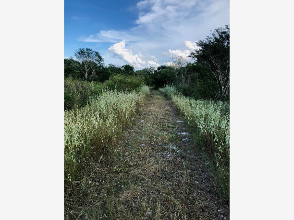 Terreno en venta en Macario Gómez, Tulum — foto 1 de 2